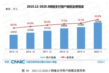 CNNIC第45次调查报告网络付出