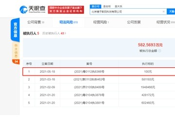 因服务合同纠纷锤子科技被强制执行100元